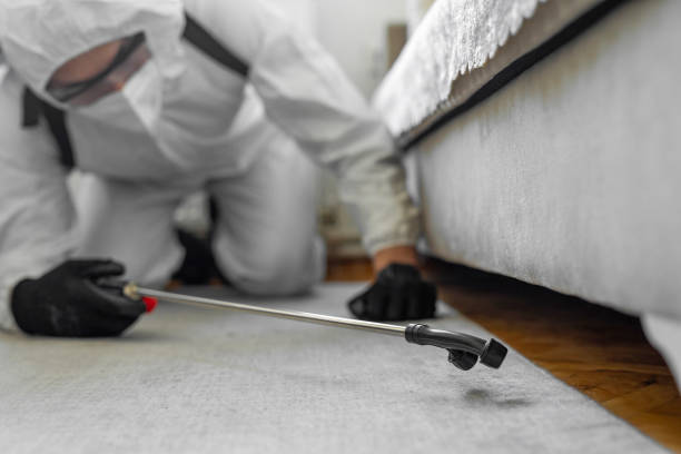 Professional Pest Control technician working in Claypool Hill, VA