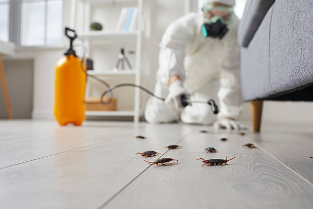Trusted Cockroach Control service in Claypool Hill, VA - Nex Pest Control