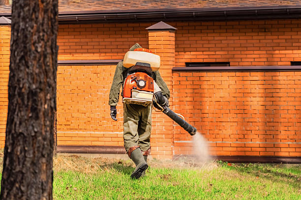 Trusted Bed Bug Control service in Claypool Hill, VA - Nex Pest Control